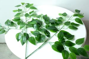 人工バニヤン葉