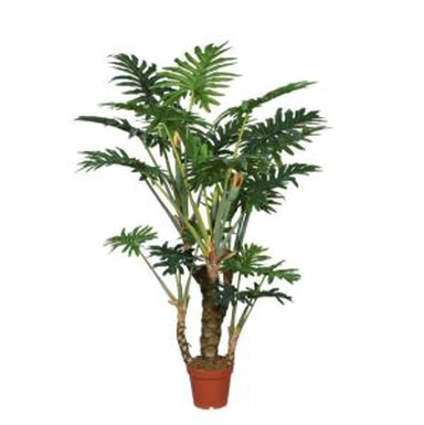 偽のフィロデンドロン植物