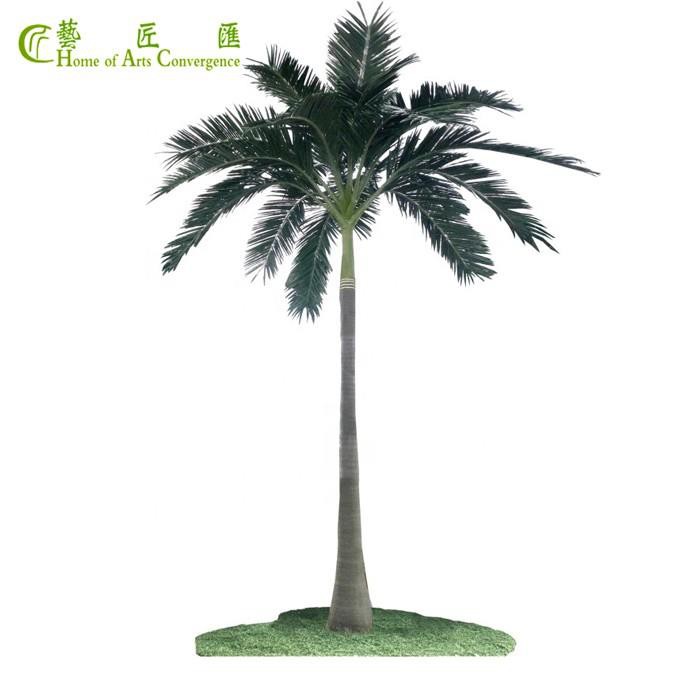 Decorative Palm Trees